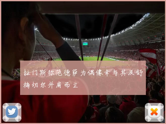 拉门斯称范德萨为偶像幸与其及舒梅切尔并肩而立