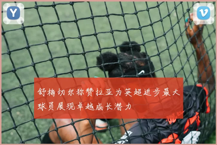 舒梅切尔称赞拉亚为英超进步最大球员展现卓越成长潜力